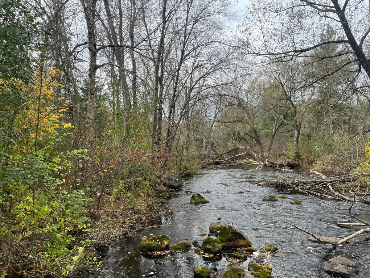 36+A On Old 13 Rd, Fifield, WI 54555 - #1