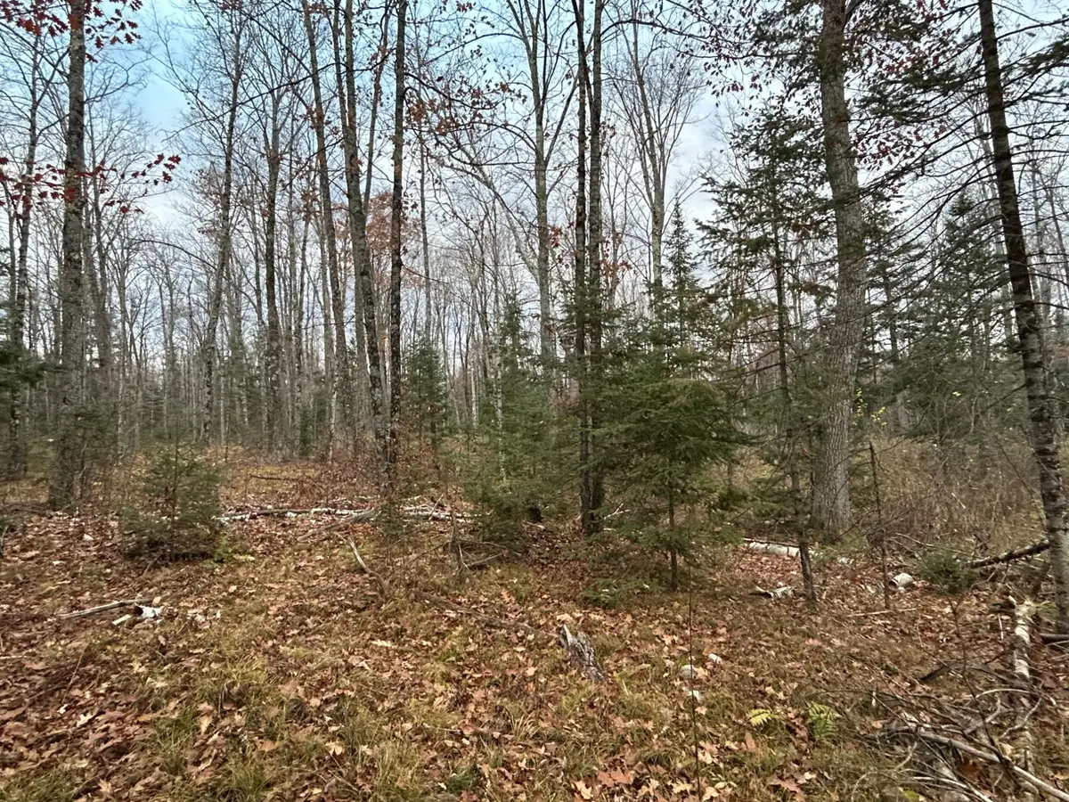 18 Acres Cth G, Pelican Lake, WI 54463 - Image #1