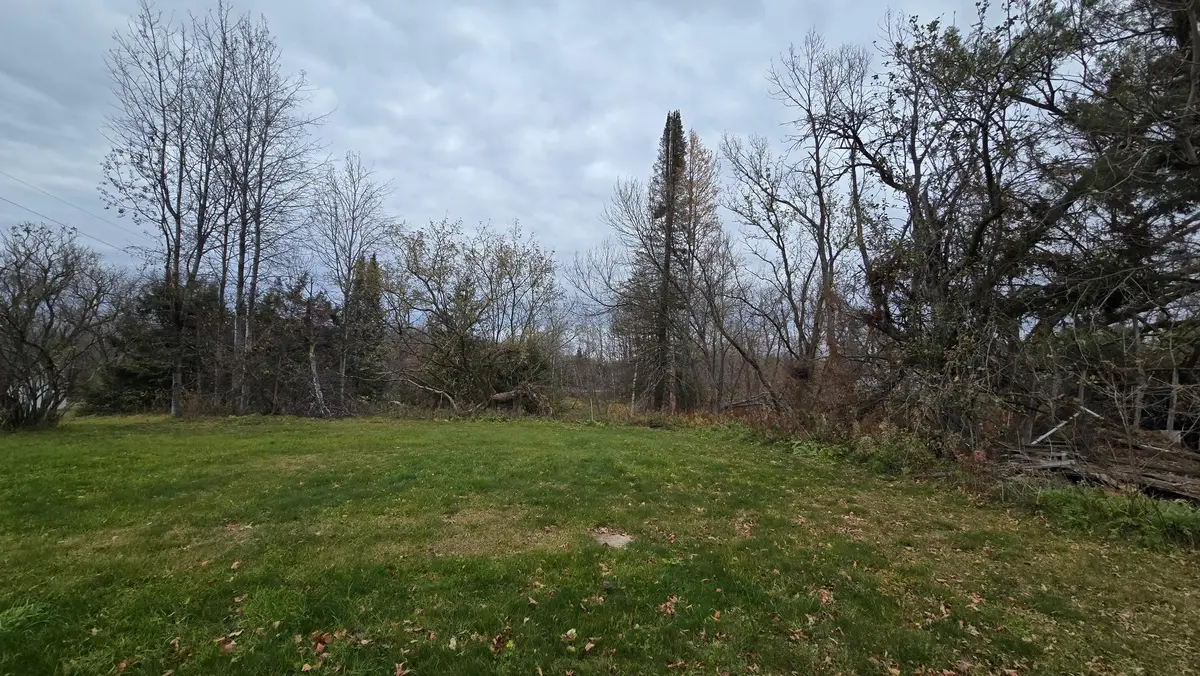 ON Emma St #1.6 Acres, Aniwa, WI 54408 - Image #1