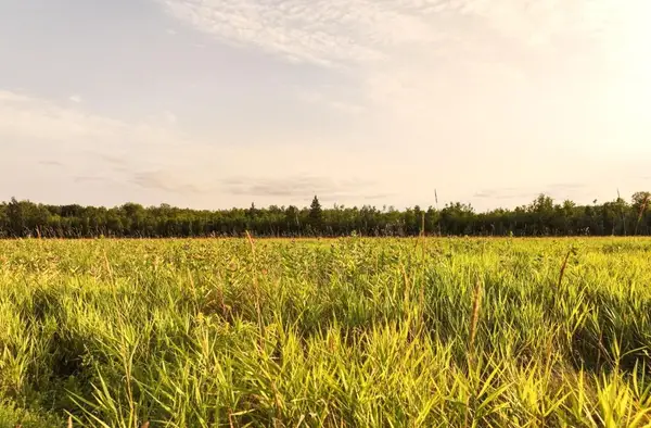 ON Suring Ln #31 ACRES, Argonne, WI 54511