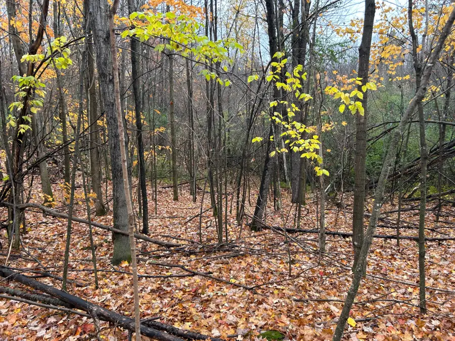 ON Sunset Rd, Elcho, WI 54428 - Image #3