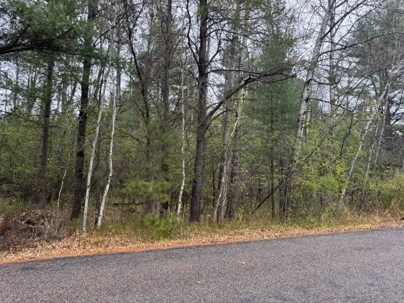 Lot On Pine View Dr, Rhinelander, WI 54501 - Image #1