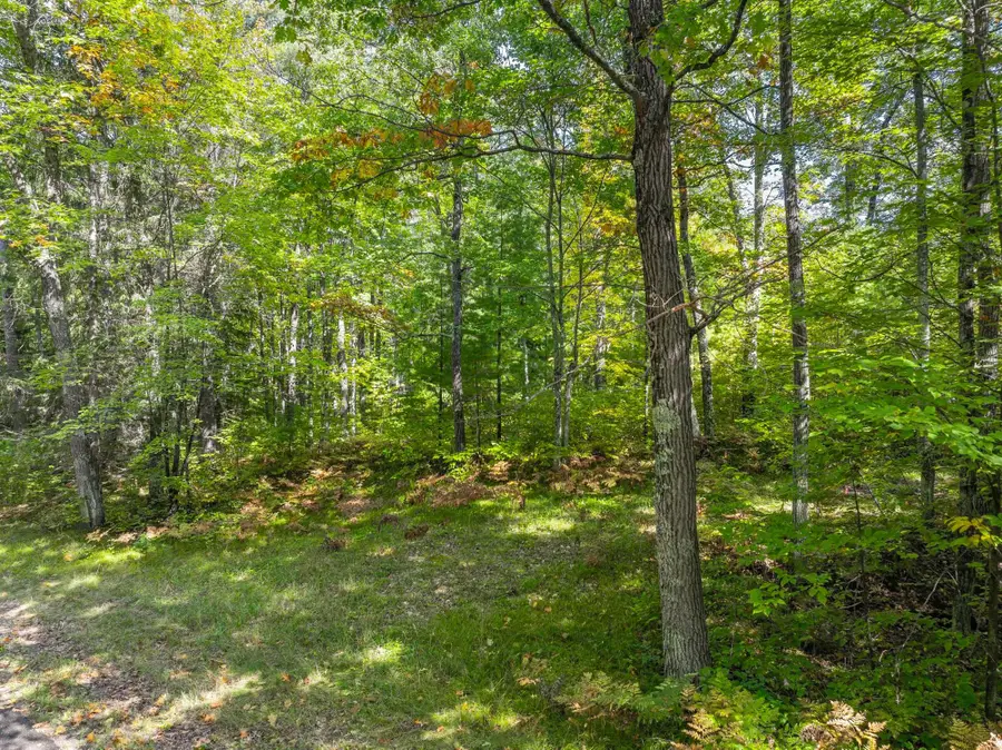 Lot 4 Lake Yawkey Dr, Hazelhurst, WI 54531 - Image #3
