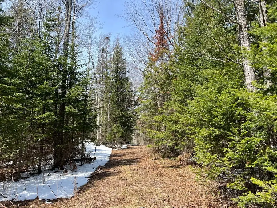 80-ACRES Old 51 Rd, Oma, WI 54534 - Image #2