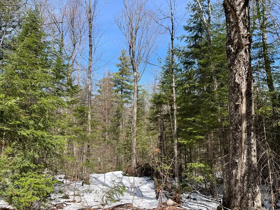 80-ACRES Old 51 Rd, Oma, WI 54534 - Image #3