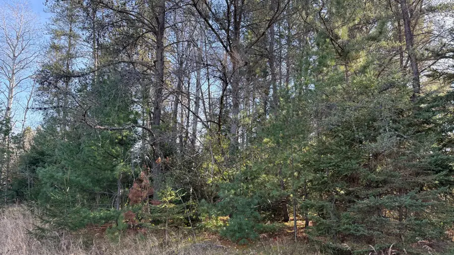 Lot 50 Somo Ave E, Tomahawk, WI 54487 - Image #2