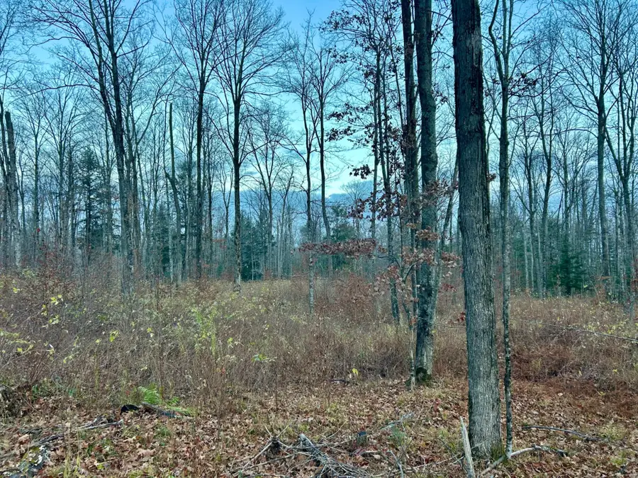 Lot 3 Old Elcho Rd, Pelican Lake, WI 54463 - Image #3