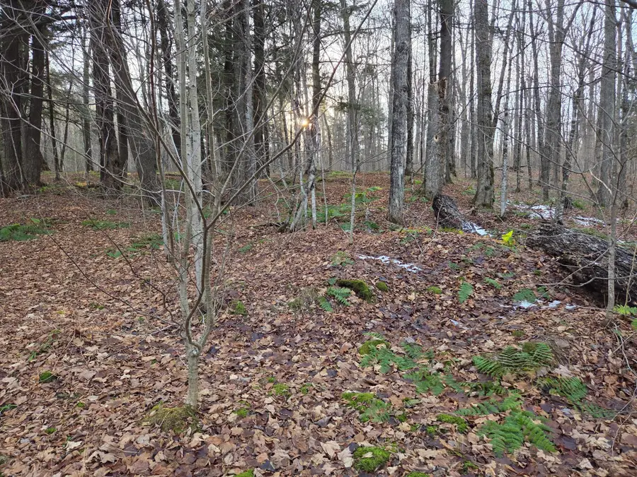 OFF Forest Road 3979 #431AC, Watersmeet, MI 49969 - Image #2