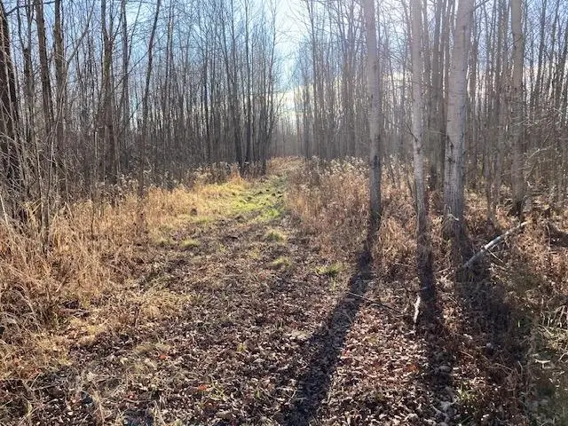 W 2O On School Rd, Glen Flora, WI 54526 - Image #2