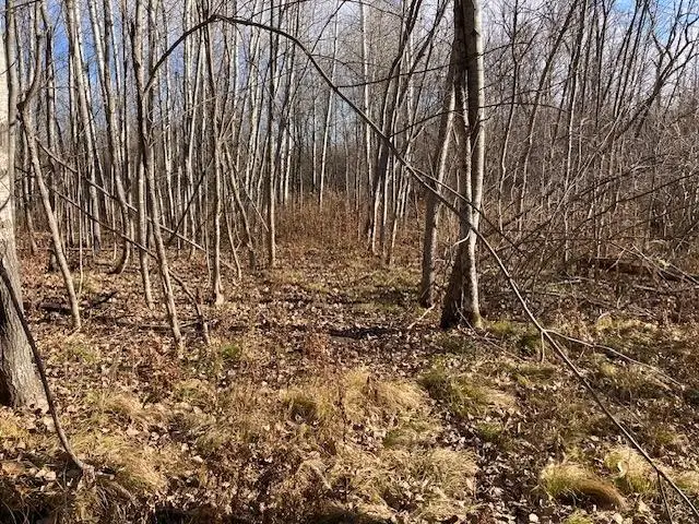 W 2O On School Rd, Glen Flora, WI 54526 - Image #3