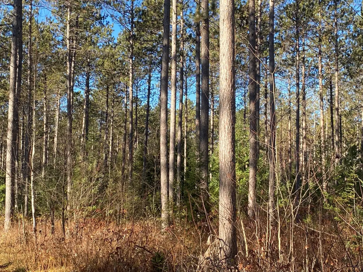 ON Cth D, Tomahawk, WI 54487 - #1