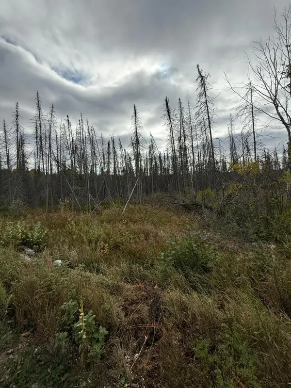 LOT 2 Birch Ln, Pickerel, WI 54465