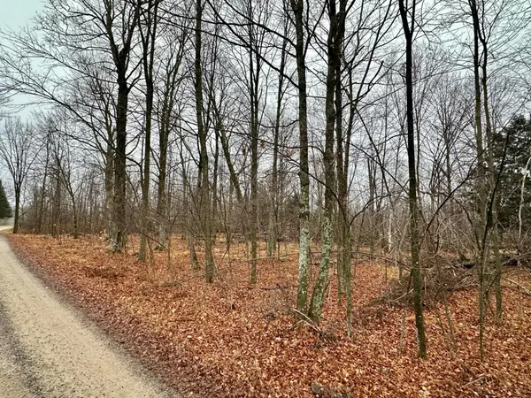 Lot 60 Chip N Dale Dr, Pickerel, WI 54465