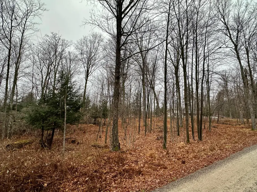 Lot 61 Chip N Dale Dr, Pickerel, WI 54465 - Image #3