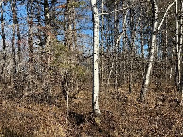 N11561 Black River Rd S, Ironwood, MI 49938 - Image #3