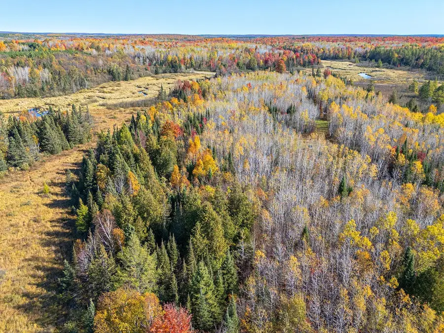 ON Cth G, Nekoosa, WI 54457 - Image #2