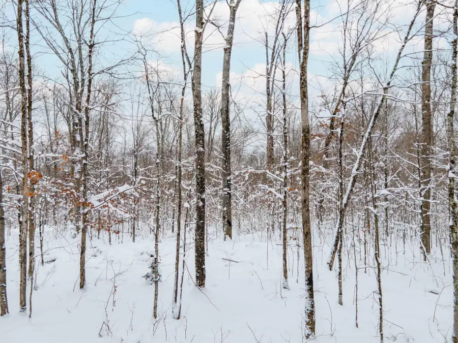 TBD University Dr, Iron River, MI 49935 - Image #2