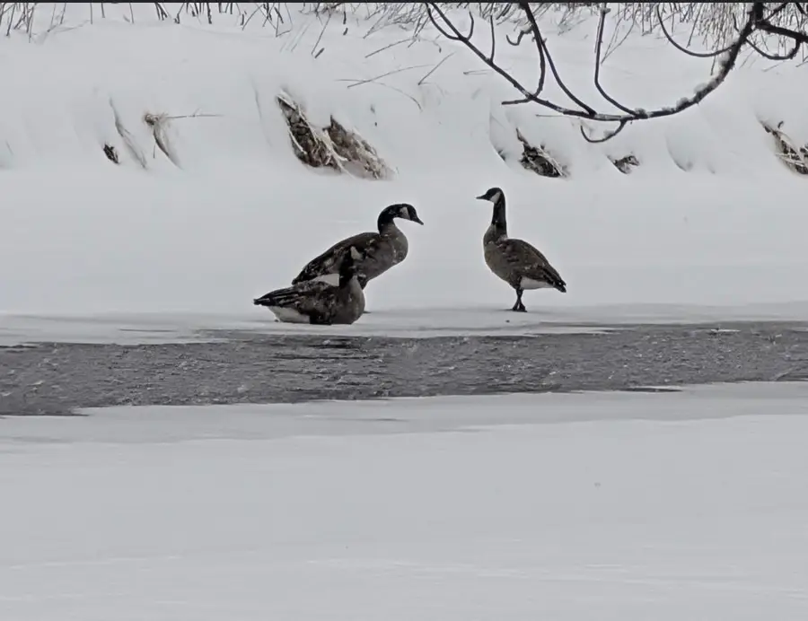 N9374 Up River Rd, Phillips, WI 54555 - Image #2