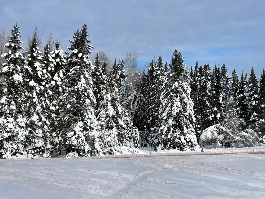 ON Cth F #20 +/- A, Butternut, WI 54514 - Image #2