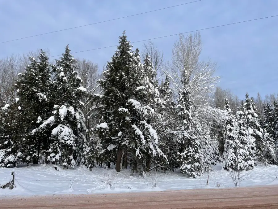 ON Cth F #20 +/- A, Butternut, WI 54514 - Image #3