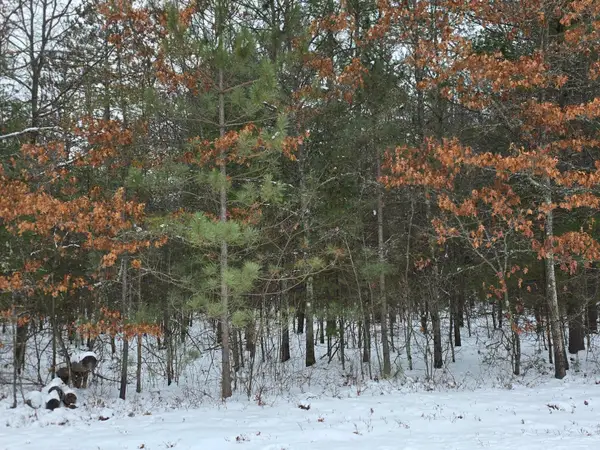 Lots 8&9 Ralph Ln, Tomahawk, WI 54487