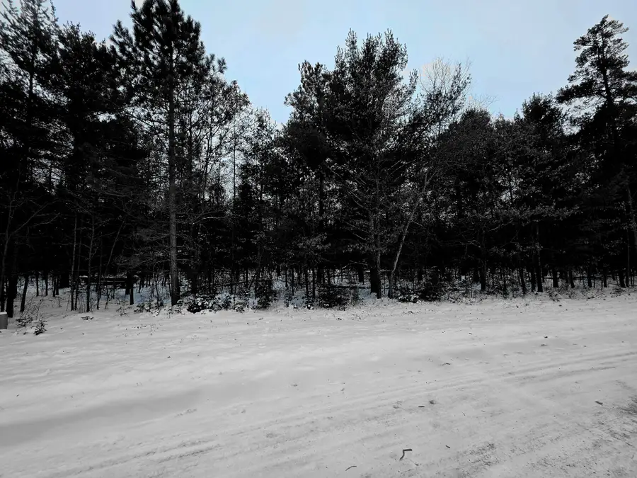 Lots 8&9 Ralph Ln, Tomahawk, WI 54487 - Image #2