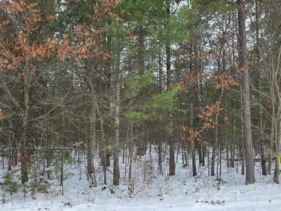 Lot 9 Ralph Ln, Tomahawk, WI 54487 - Image #3
