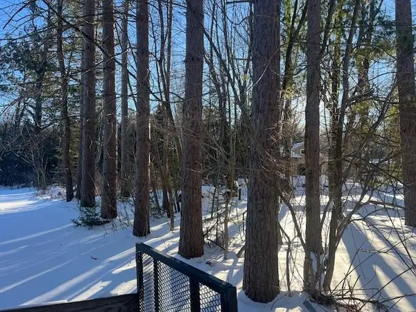 Lot 2 Archibald Lake Rd, Lakewood, WI 54138