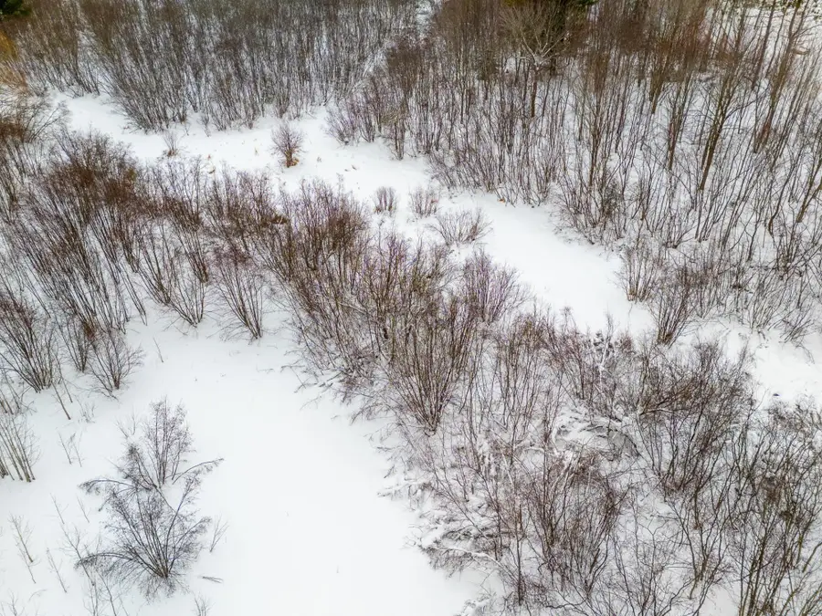 ON Scovia Ave, Ontonagon, MI 49953 - Image #3