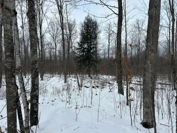 Lot 24 Cth G, Pelican Lake, WI 54463
