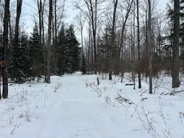 Lot 21 Cth G, Pelican Lake, WI 54463