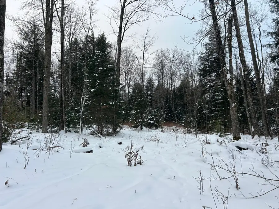 Lot 21 Cth G, Pelican Lake, WI 54463 - Image #2