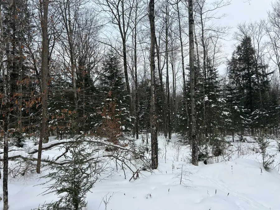 Lot 21 Cth G, Pelican Lake, WI 54463 - Image #3