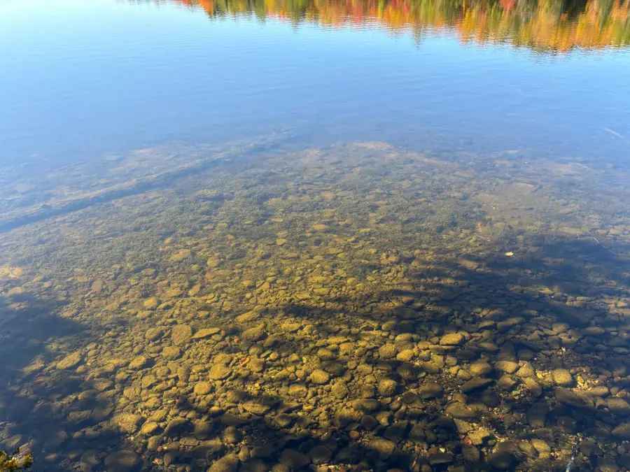 Lot 33 Nicolet Shores Ln, Phelps, WI 54554 - Image #3