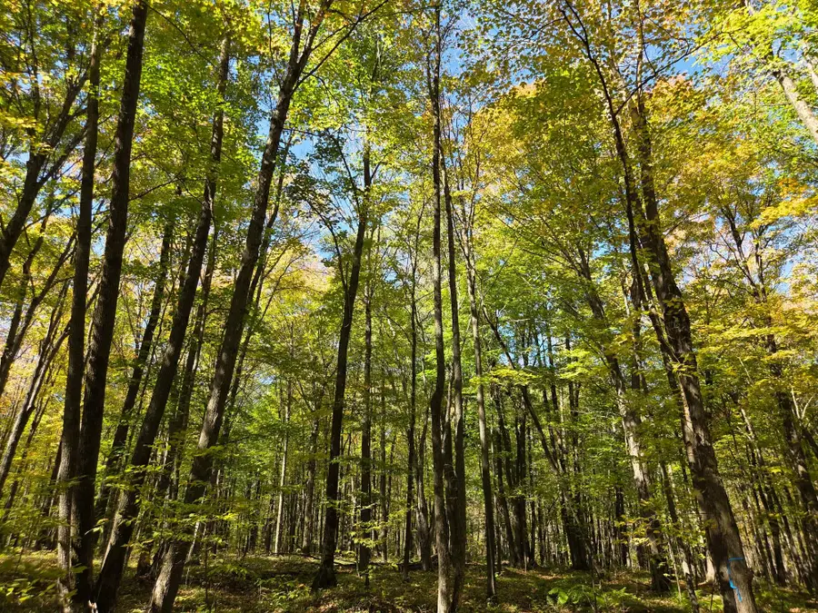 ON Liberty Ln, Kennan, WI 54537 - Image #2