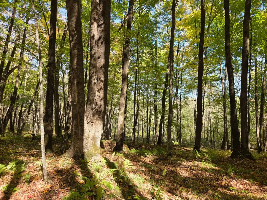 ON Liberty Ln, Kennan, WI 54537 - Image #3