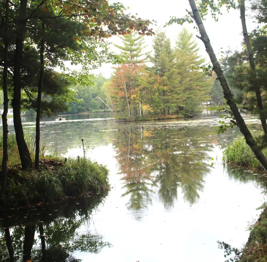 N8973 Island Rd W, Phillips, WI 54555 - #2