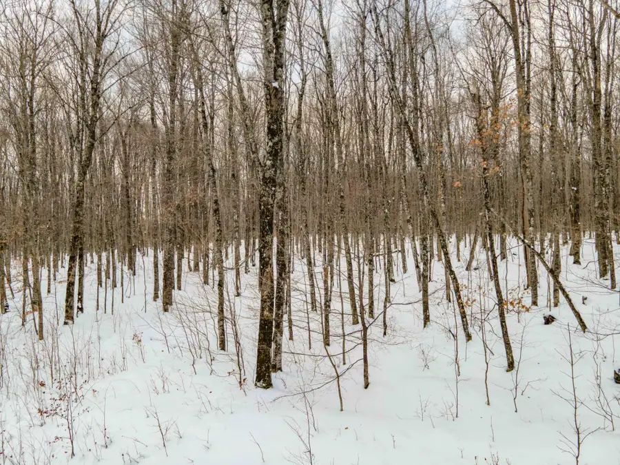 Unit 8 Elizabeth Ln, Iron River, MI 49935 - #2