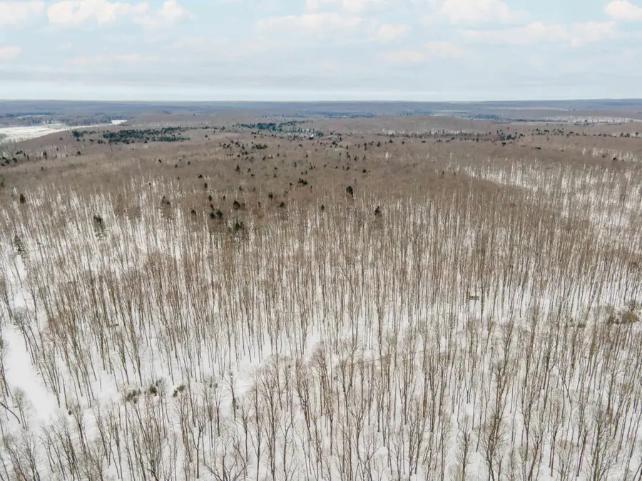 Unit 8 Elizabeth Ln, Iron River, MI 49935 - #3