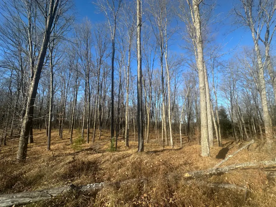 Lot 7 Mud Lake Rd #on, Florence, WI 54121 - Image #2