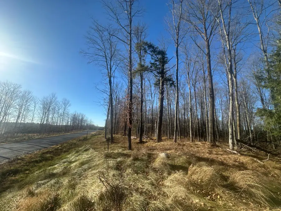Lot 6 Mud Lake Rd #on, Florence, WI 54121 - Image #3