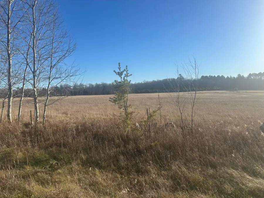 Lot 1 Brule Dam Rd #on, Florence, WI 54121 - #3