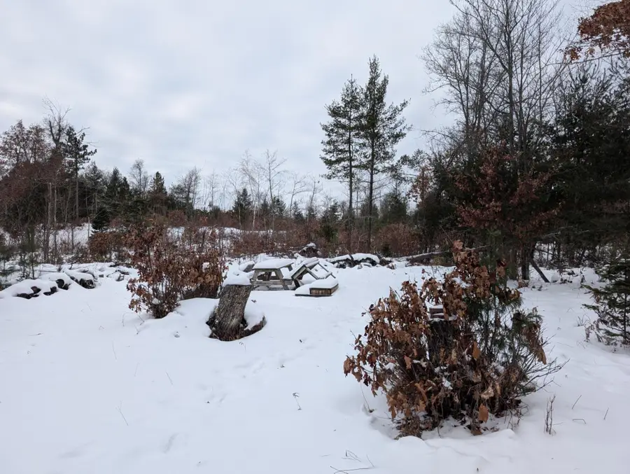 2681 Bullseye Ln, Eagle River, WI 54521 - Image #3