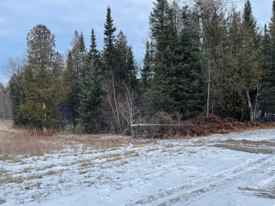 21.47 Ac Germond Rd, Rhinelander, WI 54501 - Image #3