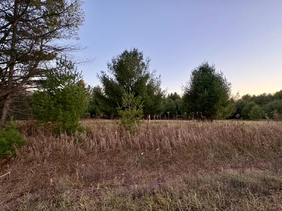 Lot 7 Lukes Heights Rd, Ogema, WI 54459 - Image #2