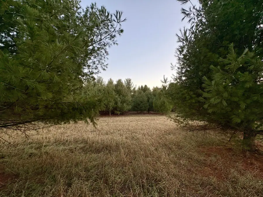 Lot 7 Lukes Heights Rd, Ogema, WI 54459 - Image #3