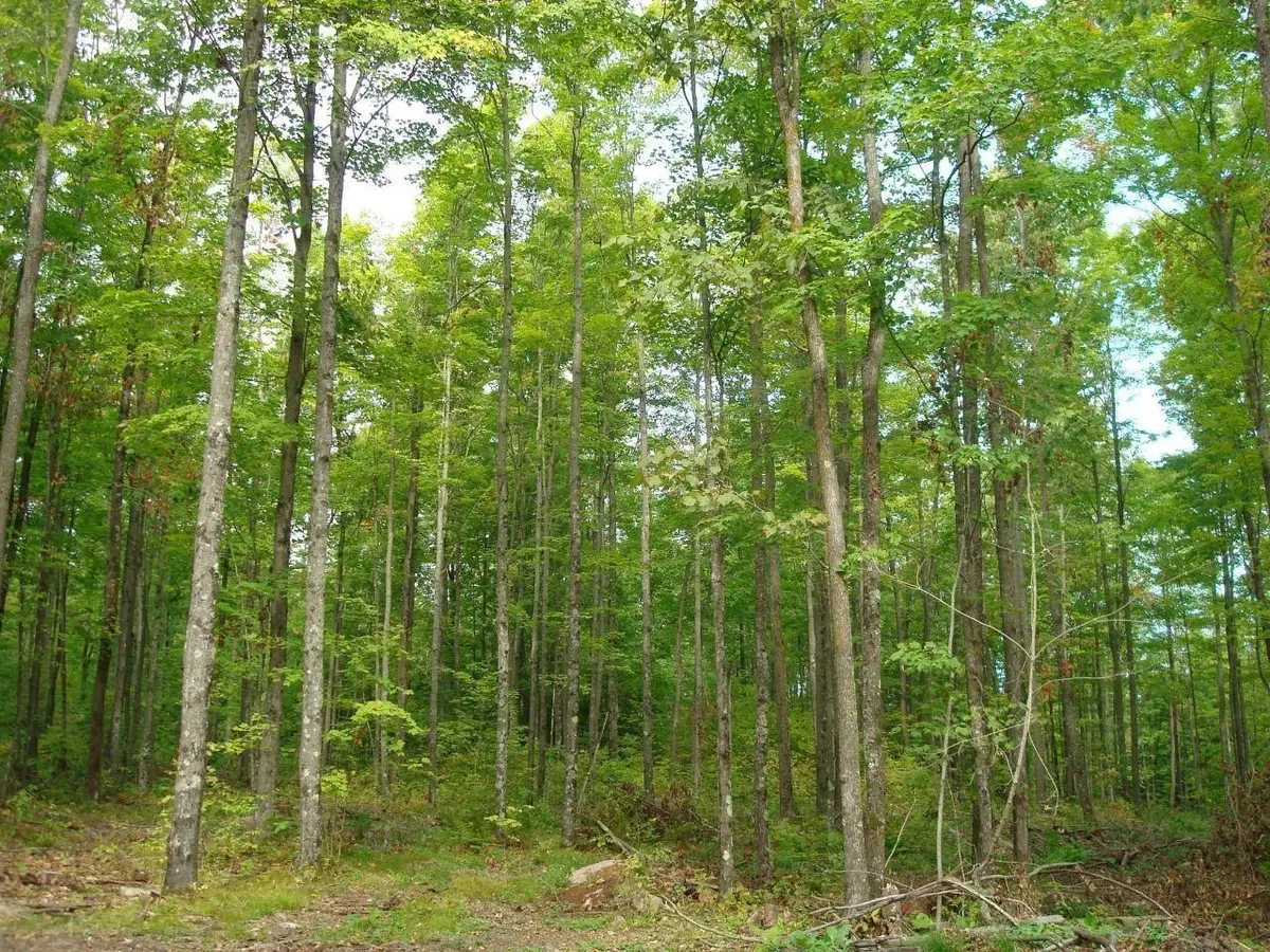 ON Hwy 8 #Tract 2067, Crandon, WI 54520 - Image #1