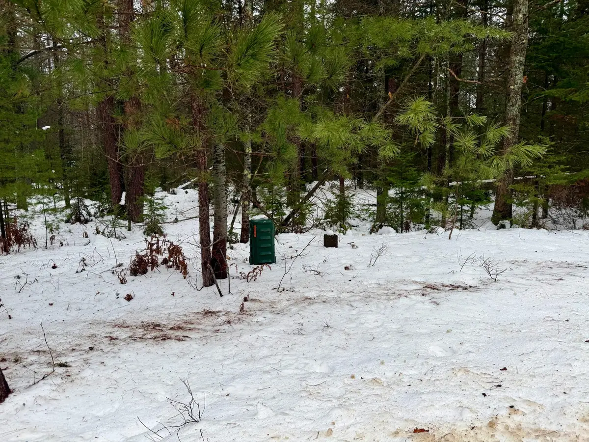 9.88ACON Juve Rd, Saint Germain, WI 54558 - Image #1