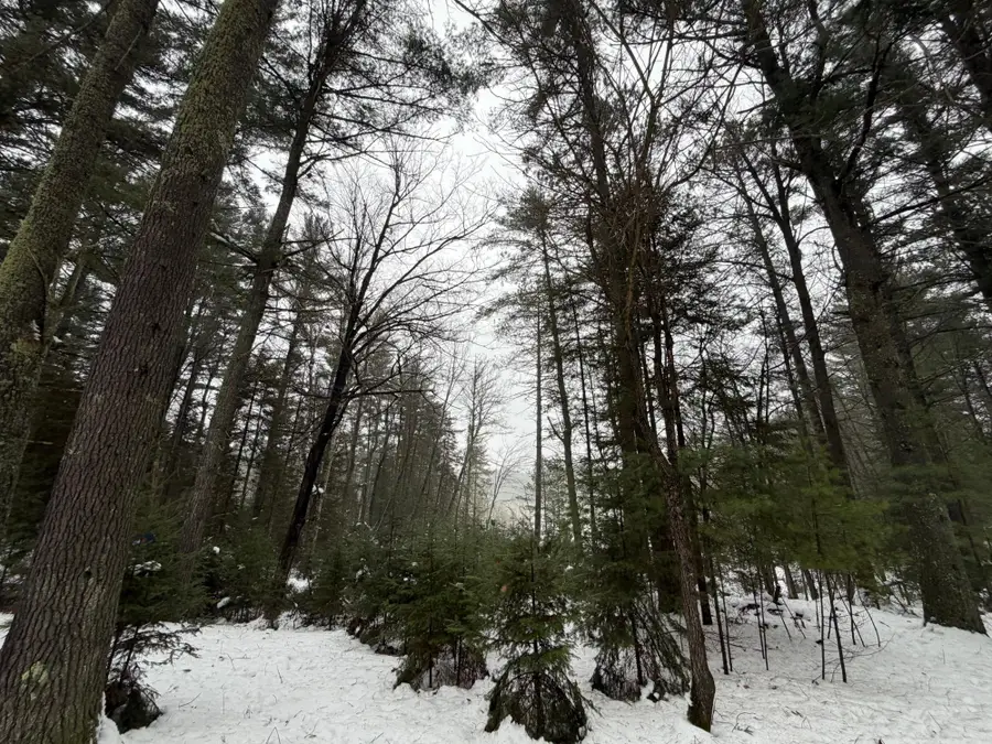 9.88ACON Juve Rd, Saint Germain, WI 54558 - Image #3