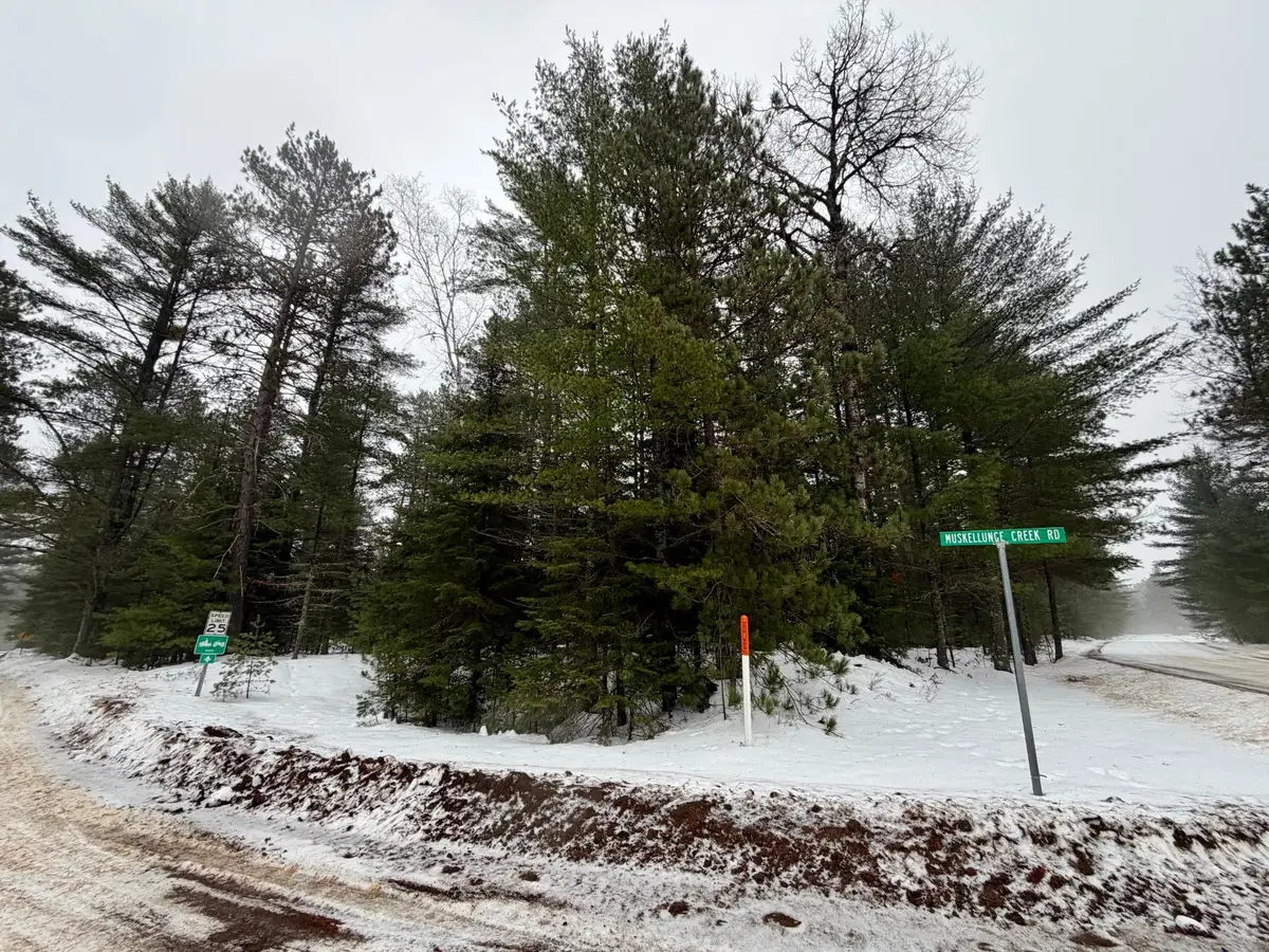 14 AC ON Juve Rd, Saint Germain, WI 54558 - Image #1